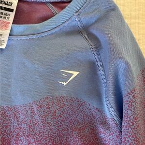 Gymshark Light Blue & Burgundy Crew Neck Performance Top